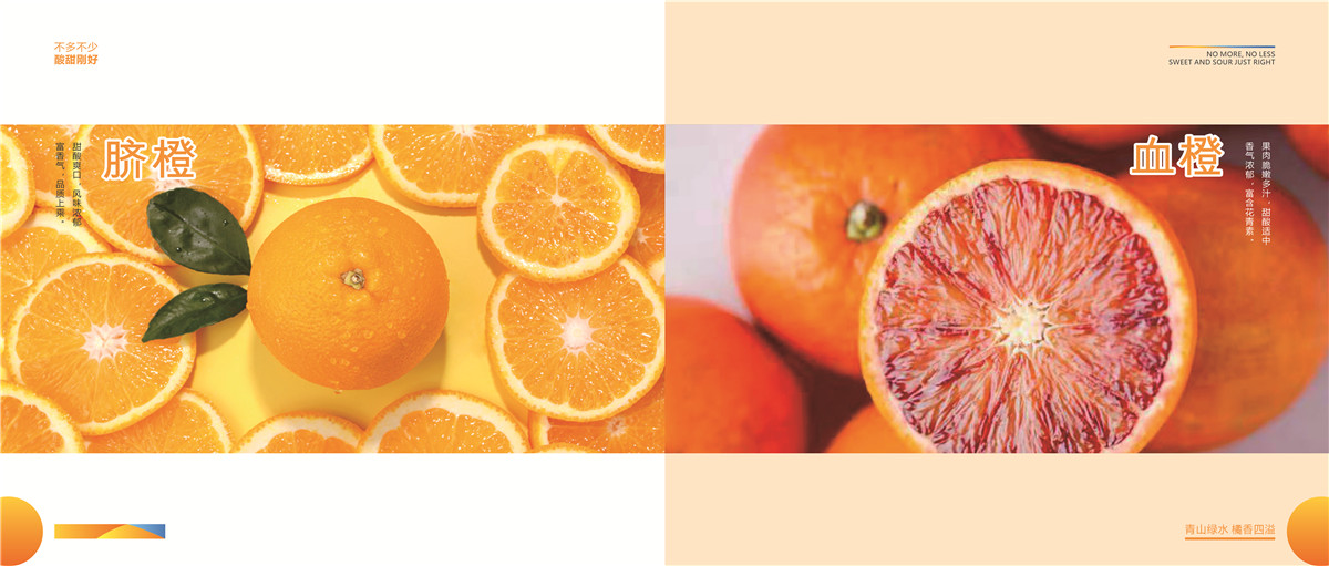 1639021386160844.jpg 0fb5d0d50b712494e047af1cf866f53.jpg