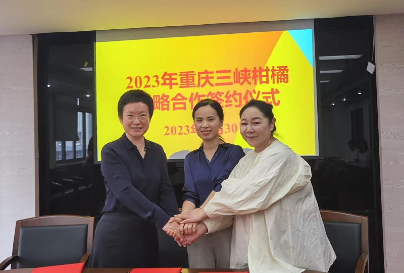 1693812330347727.png 圖片4.png