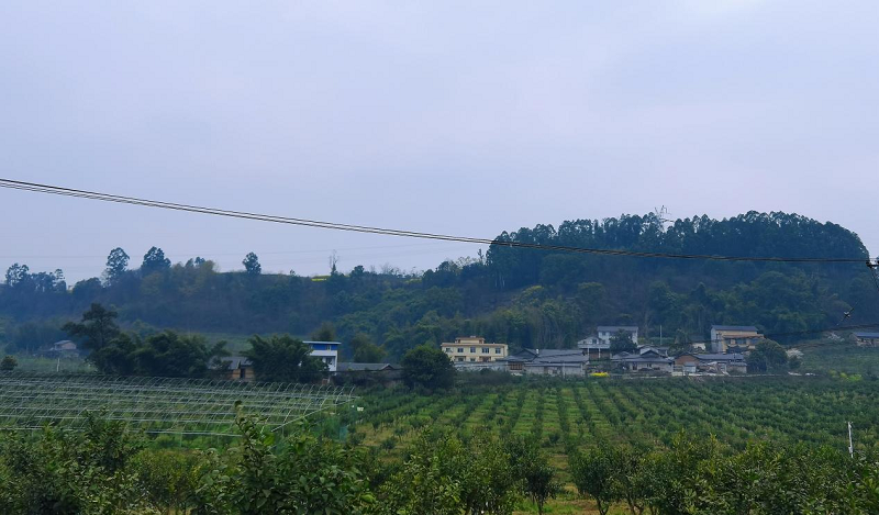 1710409283507334.png 圖片6.png