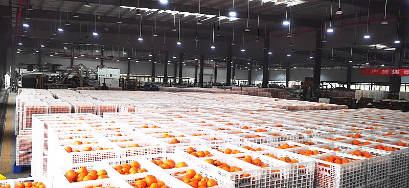 1741317414896232.jpg 微信圖片_20250306101148_副本.jpg