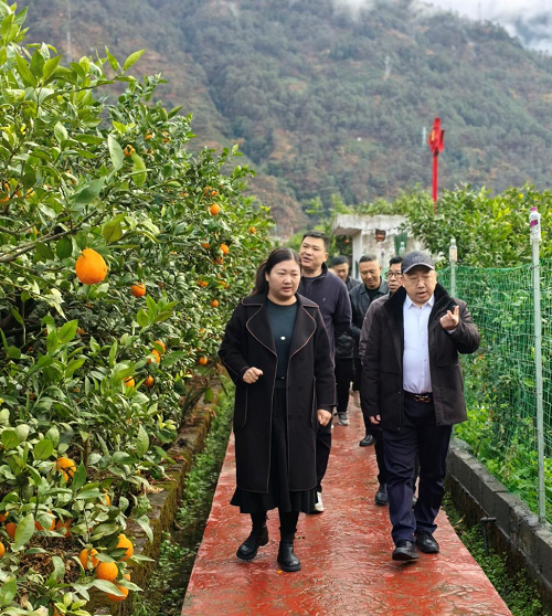 1741851598170138.png 圖片11.png